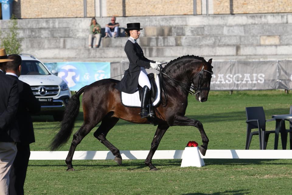 Mafalda Galiza Mendes - Dressage Rider